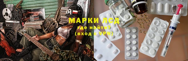 прущие грибы Алексеевка