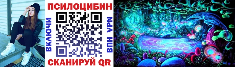 Галлюциногенные грибы GOLDEN TEACHER  продажа наркотиков  Сенгилей 
